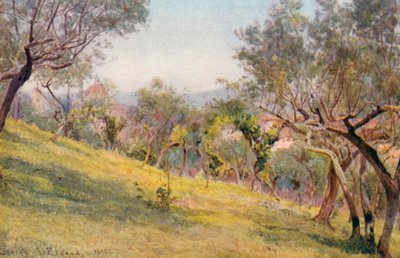Through the Olives, Florence by George Samuel Elgood
