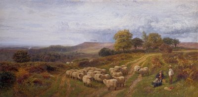 Extensive Landscape with a Shepherd and his Flock of Sheep, Surrey by George Shalders