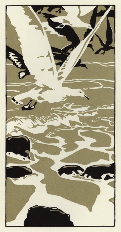 From the Beach Came a Large White Sea Gull by George Sheringham