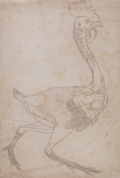 Fowl Body, Lateral View by George Stubbs
