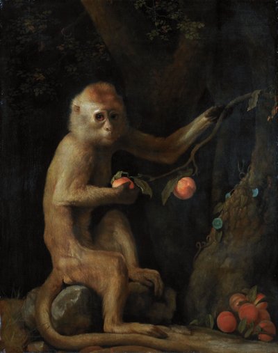 A Monkey by George Stubbs