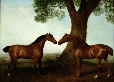 Two Bay Hunters by a Tree by George Stubbs