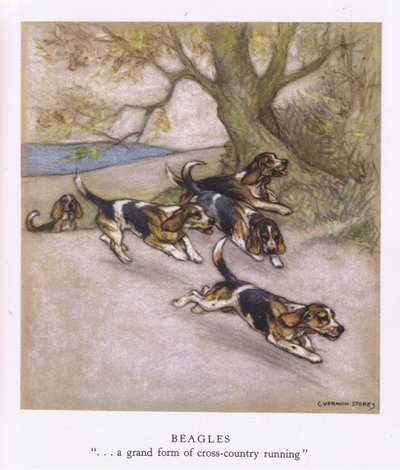 Beagles by George Vernon Stokes
