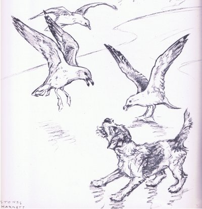 Rosie driving away the seagulls, from Mudlarks published by Collins by George Vernon Stokes