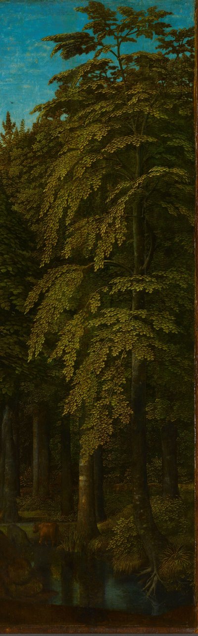 Outer Right Wing of a Triptych with a View in a Forest by Gerard David