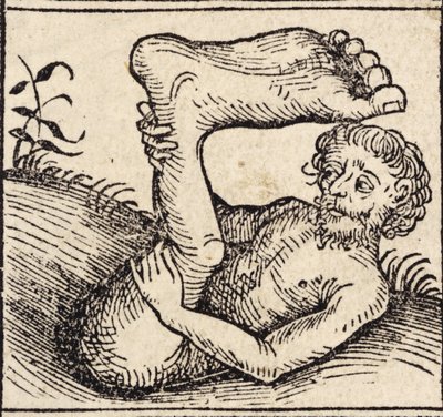 A Sciopod, Man with a Swollen Foot, from Registrum Hujus Operis Libri Cronicarum cum Figuris et Imagibus ab Inicio Mundi, by Hartmann Schedel by German School