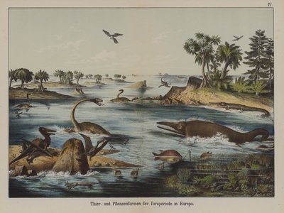 Animals and Plants of the Jurassic Period in Europe by German School