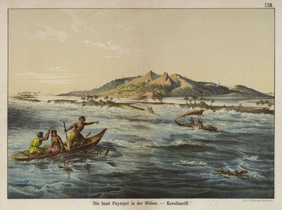 Coral reef off Puynipet island (Pohnpei), Caroline Islands by German School