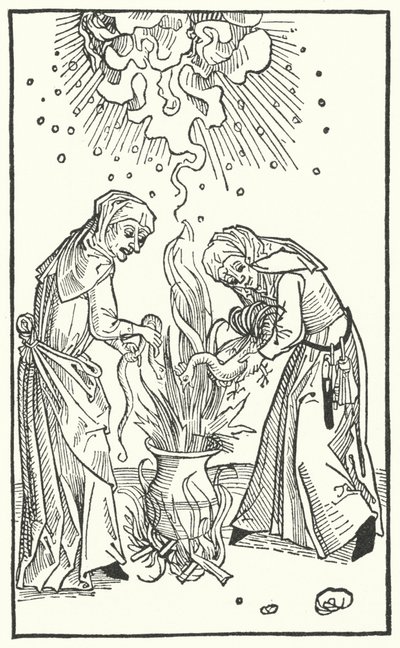 Illustration from a treatise by Ulrich Molitor about diviner women and witchcraft by German School