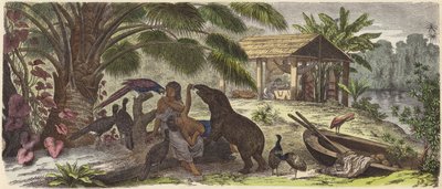 Indian house on the Orinoco River by German School