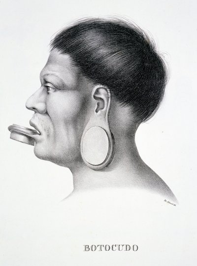Native man of the Botocudo tribe, with plug face decoration, from Atlas of a Journey in Brazil by Dr von Spix and Dr von Martius by German School