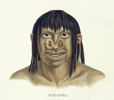 Native Man of the Miranha Tribe, with Nose Decoration, from Atlas of a Journey in Brazil by Johann Baptist von Spix and Karl Friedrich Philipp Martius, published c.1835-50 by German School