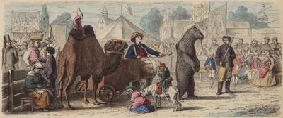 Performing Animal Troupe in Germany by German School