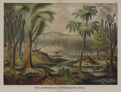 Plants and animals of the Carboniferous Period in Europe by German School