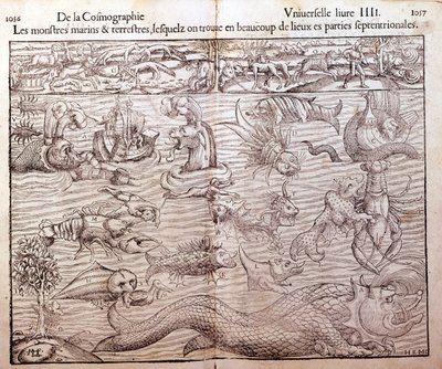 Plate representing all types of marine and terrestrial monsters found in northern regions: Xilography taken from Sebastien Munster