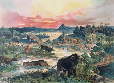 Prehistory - Tertiary - reconstruction of natural environment in Europe and some of the animals of this period, 1886 by German School