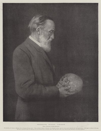 Professor Rudolf Virchow by German School