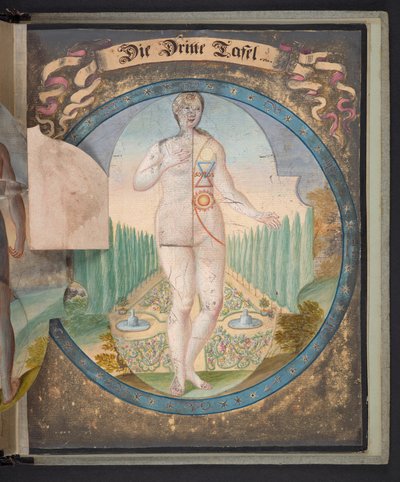 Tables Representing Man in Three Different States, Add MS 5788 by German School