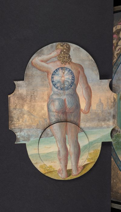 Tables representing man in three different states, Add MS 5788 by German School