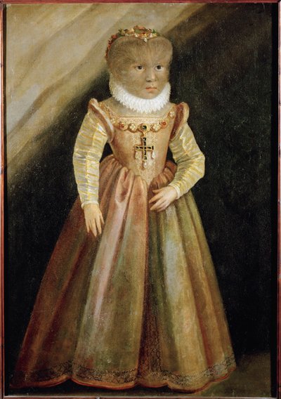 The Daughter of Petrus Gonzalvus, the Hairy Man from Teneriffa by German School