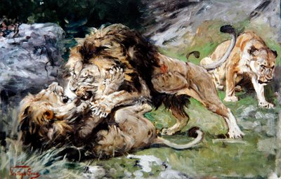 Barbary Lions Fighting, c.1890 by Geza Vastagh