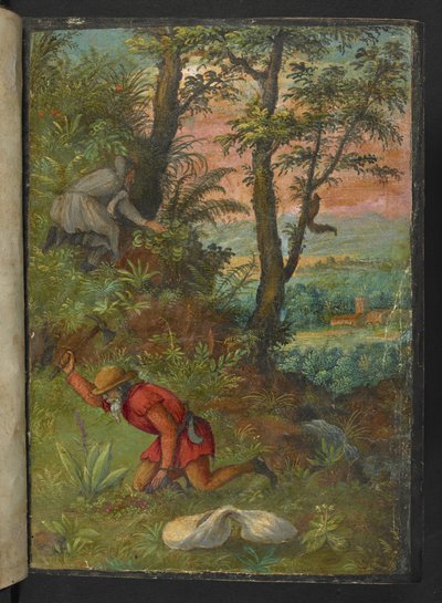 Two men in a wooded area, digging for plants, from 