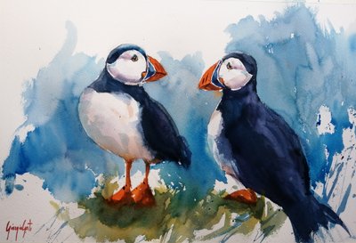 Colorful Puffin Pair by Giorgio Gosti