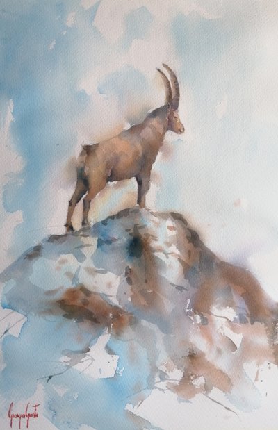 Majestic Alpine Ibex by Giorgio Gosti