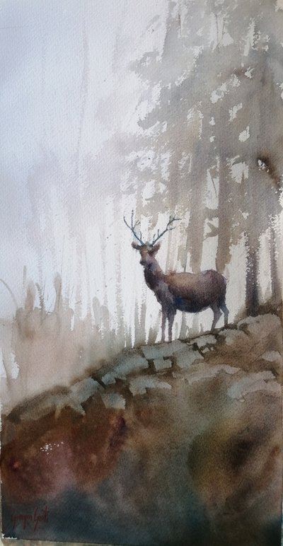 Misty Forest Stag by Giorgio Gosti