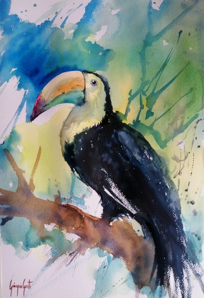 Vibrant Jungle Toucan by Giorgio Gosti