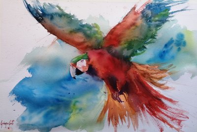 Vibrant Macaw in Flight by Giorgio Gosti