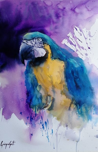 Vibrant Watercolor Parrot by Giorgio Gosti