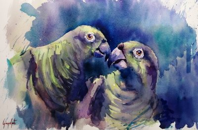Watercolor Green Parrots by Giorgio Gosti