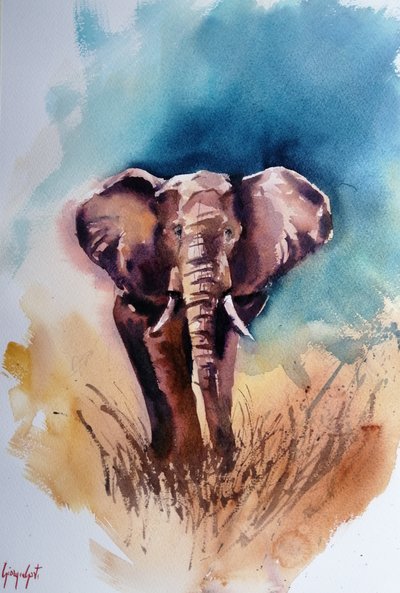 Wild African Elephant by Giorgio Gosti