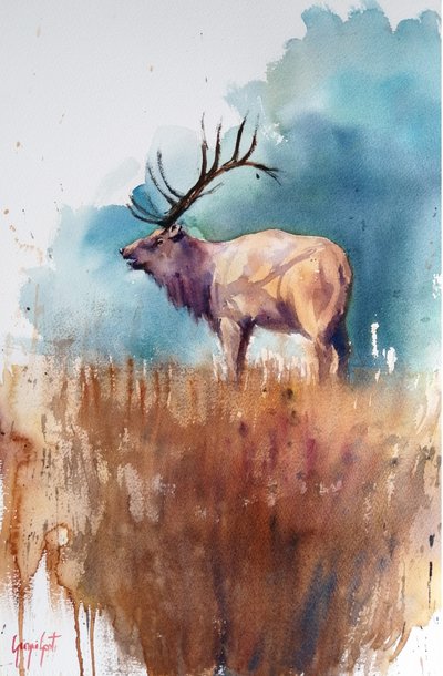 Deer 7 by Giorgio Gosti