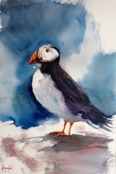 Puffin 2 by Giorgio Gosti