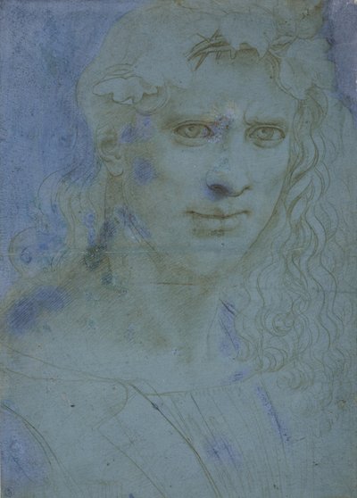 Bust of young crowned with thorns and vine shoots by Giovanni Antonio Boltraffio