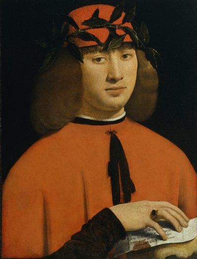 Portrait of a Young Man by Giovanni Antonio Boltraffio