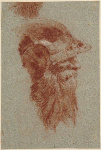 Head of a Bearded Soldier for the Kaisersaal at Würzburg by Giovanni Battista Tiepolo