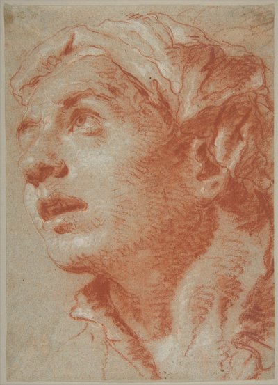Head of a Young Man in Three-Quarter View by Giovanni Battista Tiepolo