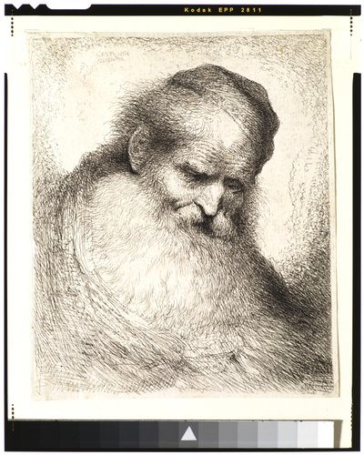 Bearded Old Man with His Head Leaning Forward, Wearing a Skull Cap, Facing Right by Giovanni Benedetto Castiglione