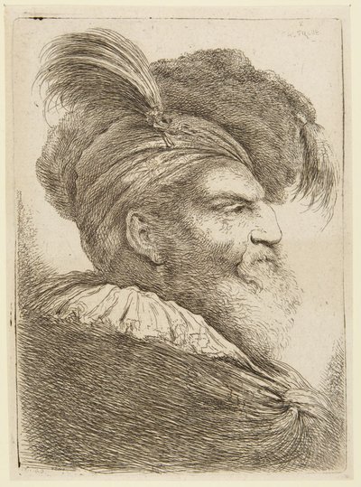 Head of a Bearded Man in Plumed Hat by Giovanni Benedetto Castiglione