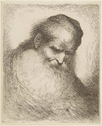 Head of a Bearded Old Man by Giovanni Benedetto Castiglione