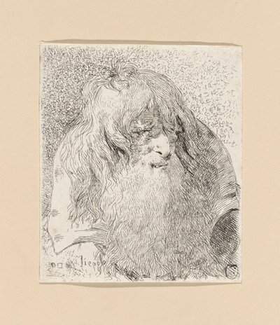 Old Man with a Beard and Long Hair, from the Raccolta di Teste (Collection of Heads) by Giovanni Domenico Tiepolo
