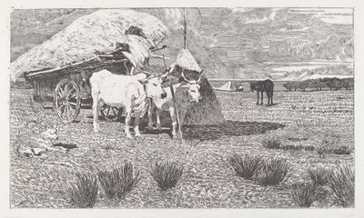 Oxen Yoked to a Cart (Maremma) by Giovanni Fattori