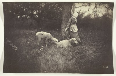 Shepherdess Leaning Against a Tree, with Two Sheep by Giraudon