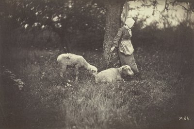 Shepherdess Leaning Against a Tree, with Two Sheep by Giraudon