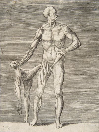 Man Seen from the Front, Holding the Skin of His Right Arm and Leg in His Right Hand by Giulio Bonasone