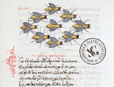 Ms 3402 Bees, from a Bestiary by Manuel Philes, 1566 by Greek School