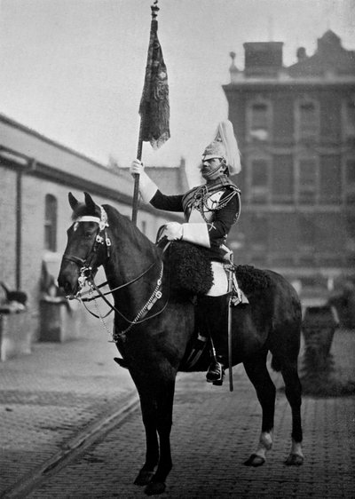 Squadron Corporal Major of the 1st Life Guards with Standard, 1896 by Gregory and Co